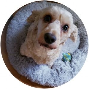 Meet your Posher, Deborah